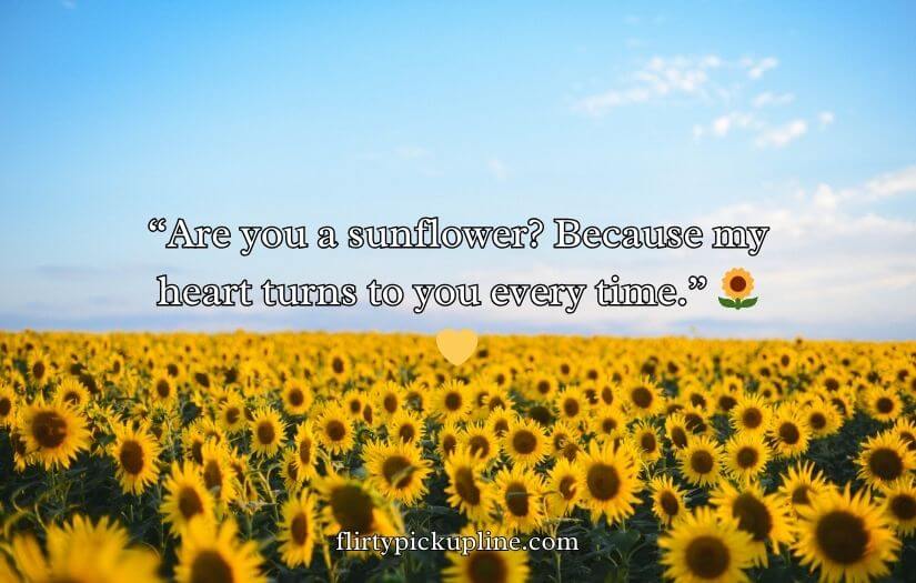 Sunflower Rizz Lines