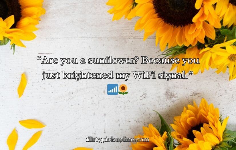 Sunflower Rizz Lines