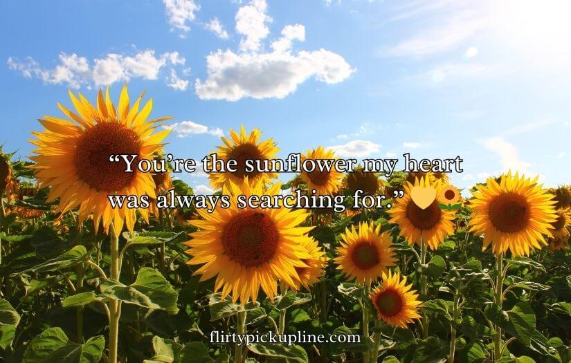 Sunflower Rizz Lines