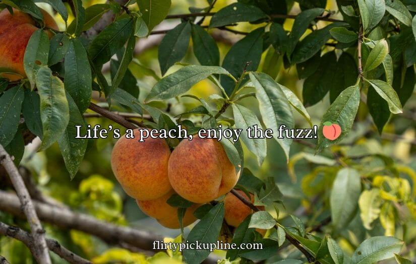 Funny Peach Puns