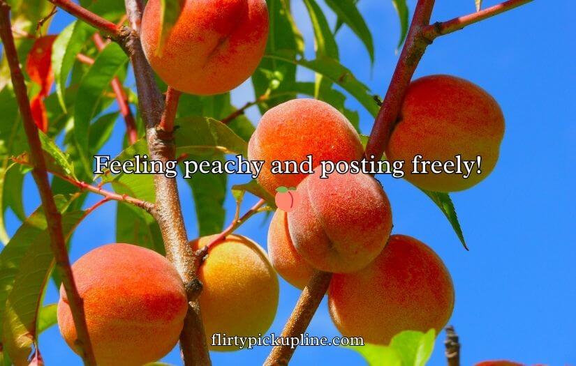 Funny Peach Puns