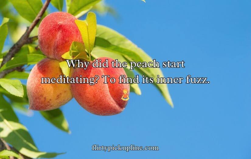 Funny Peach Puns
