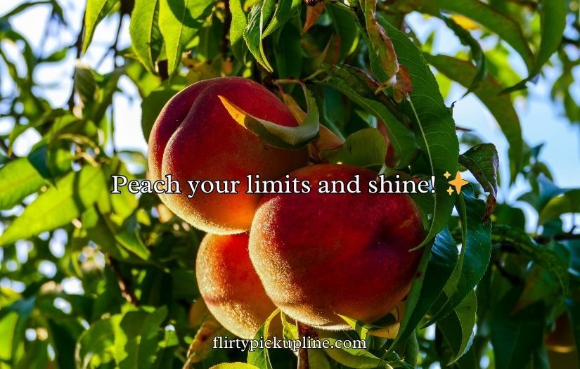 Funny Peach Puns