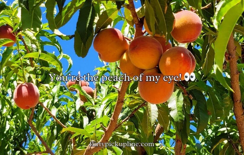Funny Peach Puns