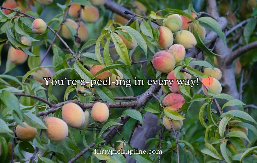 Funny Peach Puns