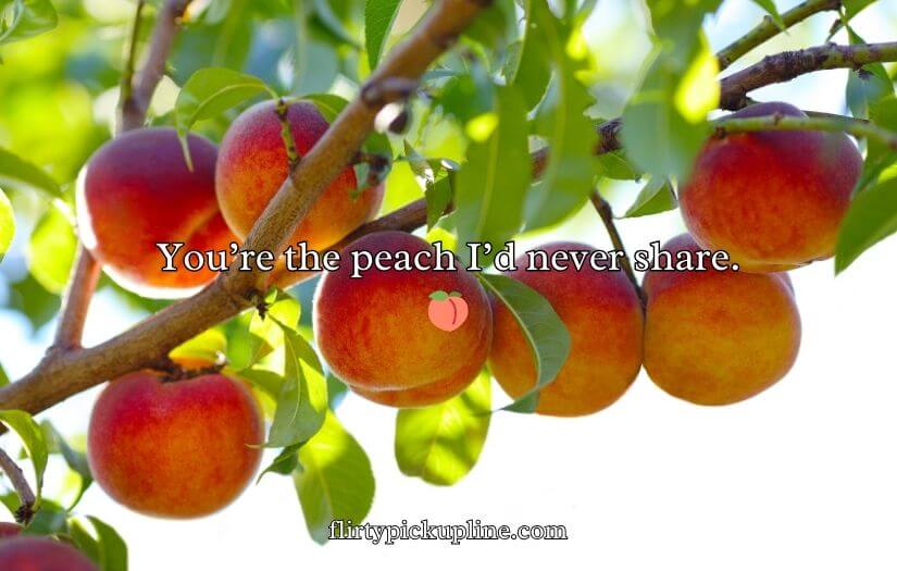 Funny Peach Puns