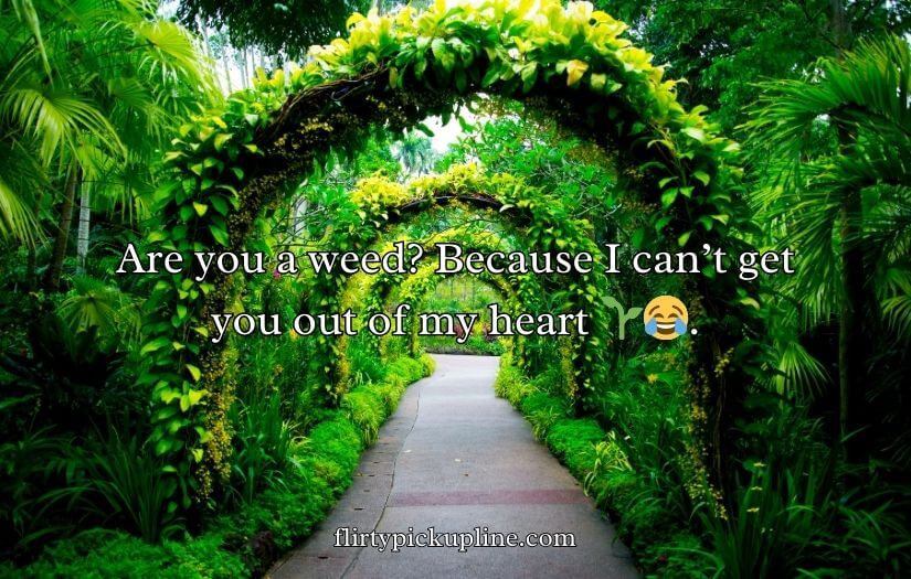 Garden Pick Up Lines