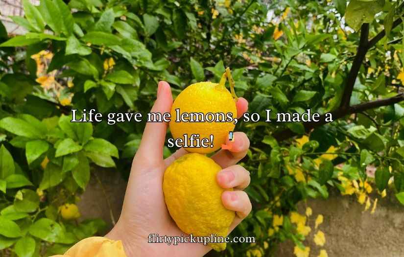 Lemon Puns