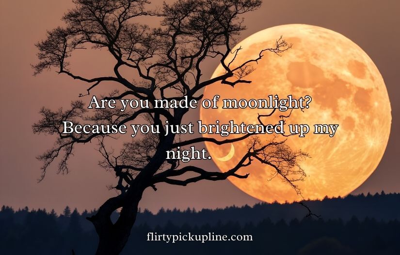 Moon Pick Up Lines
