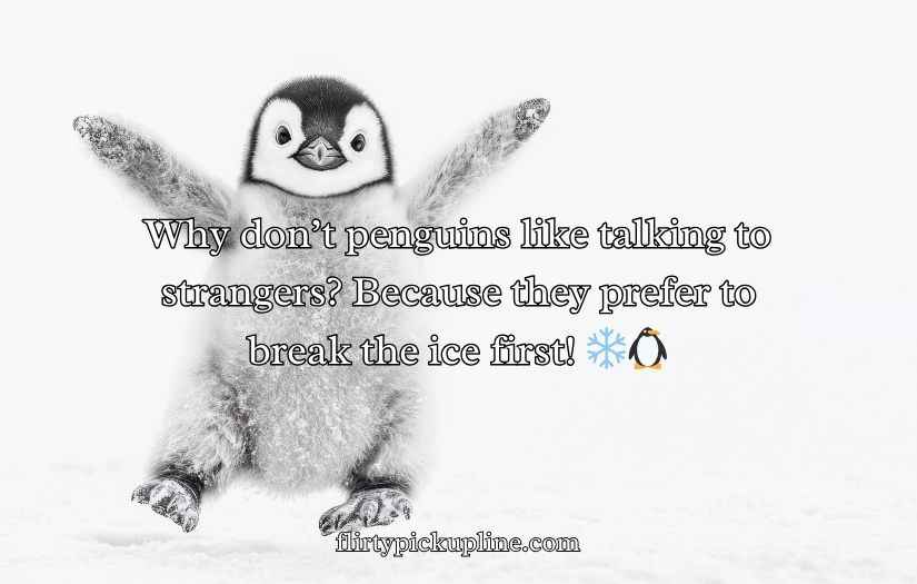 Penguin Jokes Puns