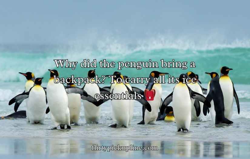 Penguin Jokes Puns