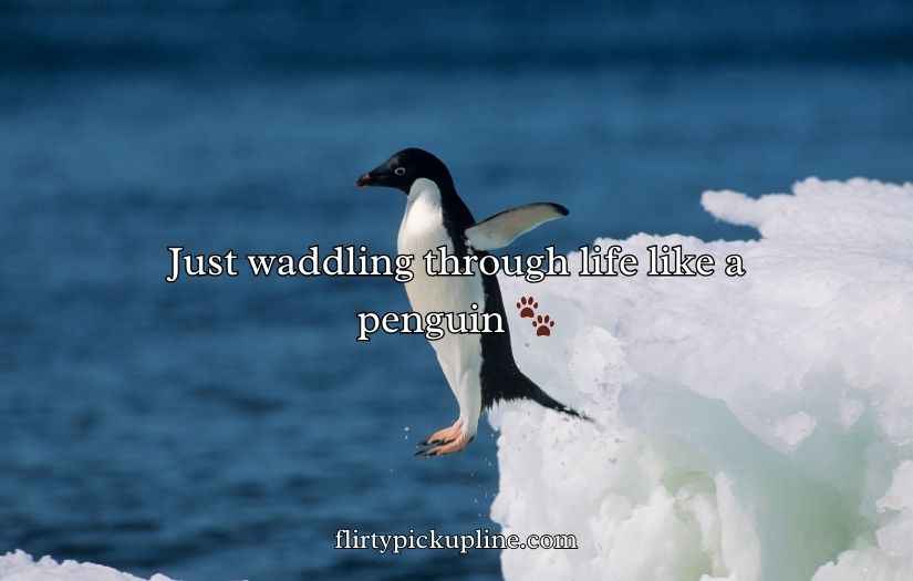 Penguin Jokes Puns