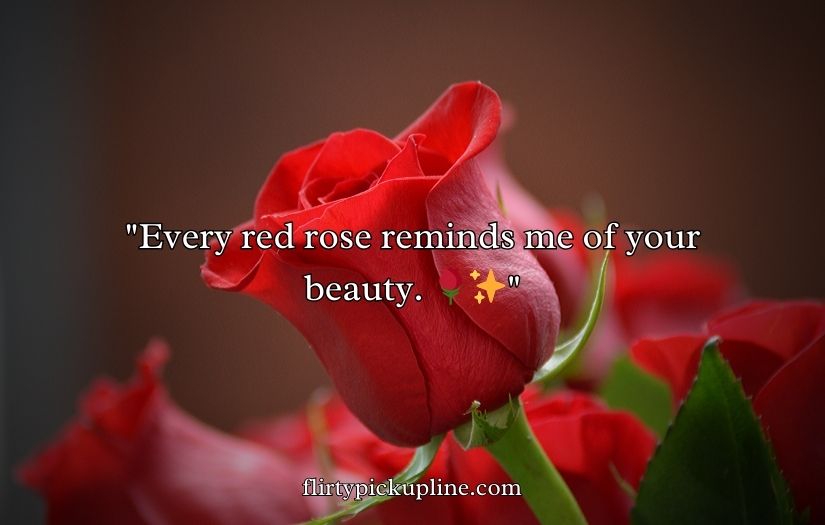 Red Roses Pick Up Lines