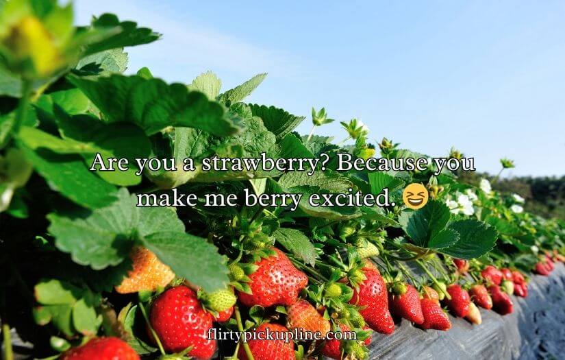 Strawberry Pick Up Lines