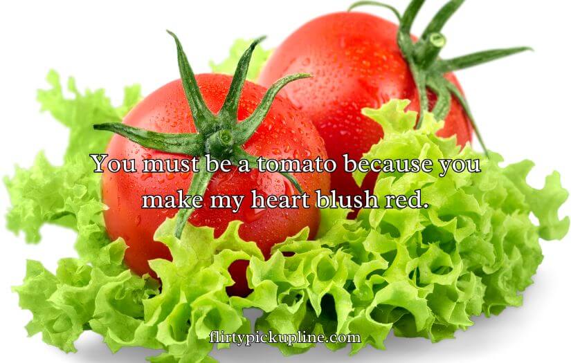 Tomato Pick Up Lines