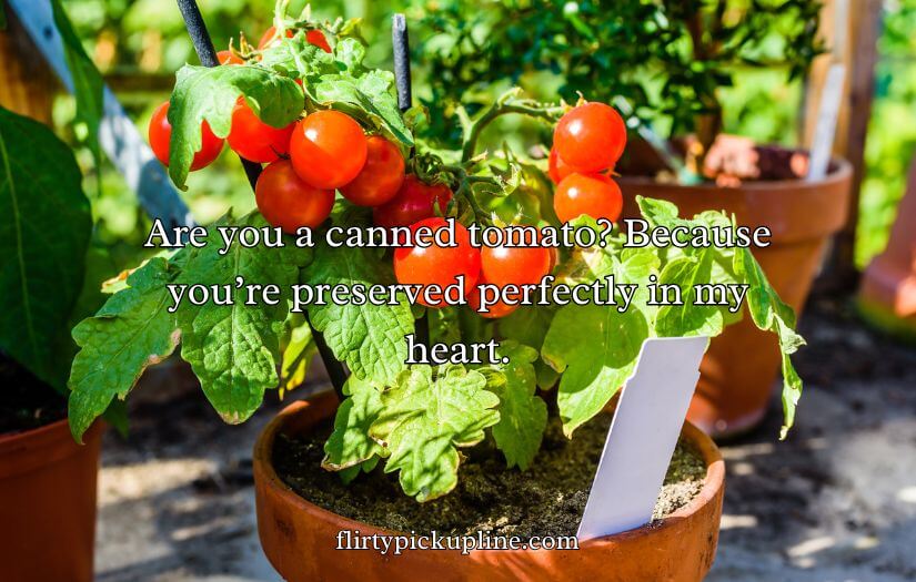 Tomato Pick Up Lines