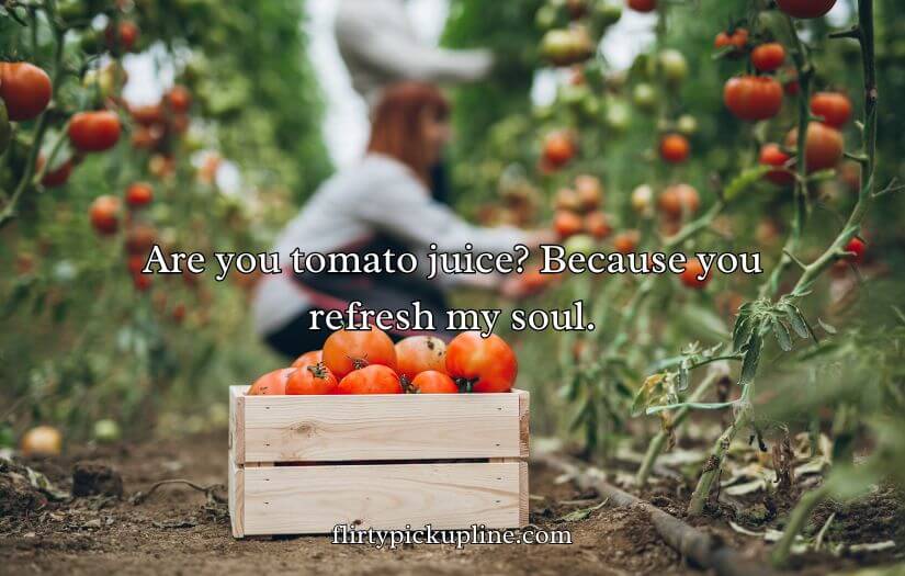 Tomato Pick Up Lines