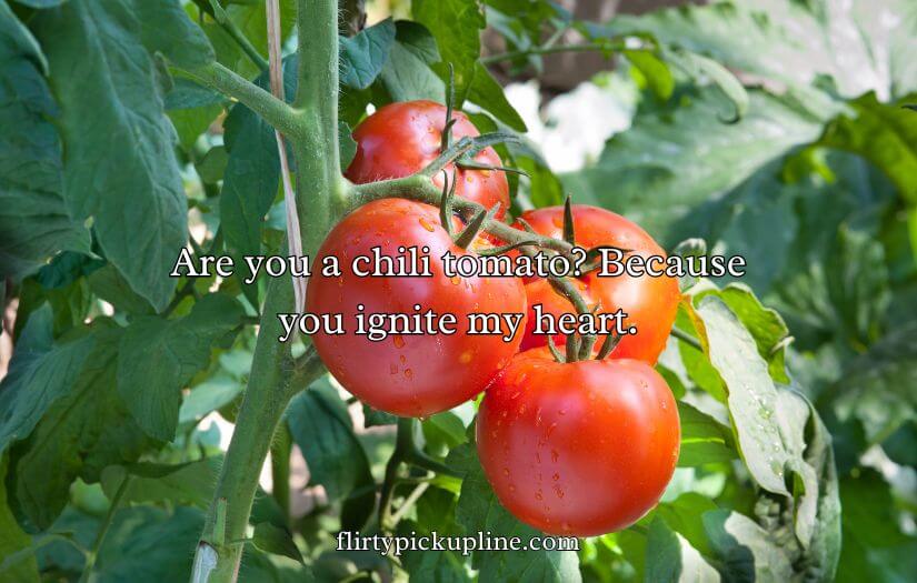 Tomato Pick Up Lines