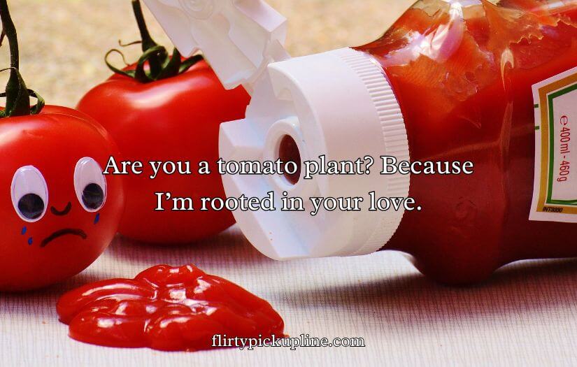 Tomato Pick Up Lines