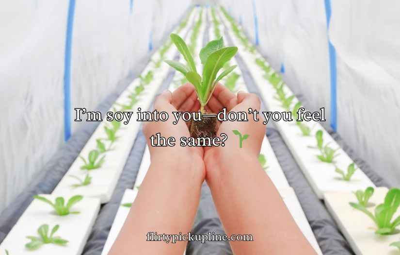 Vegetable Puns and Jokes