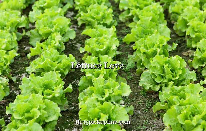 Vegetable Puns and Jokes