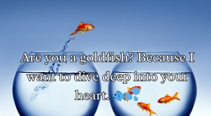 Goldfish Pick-Up Lines Goldfish Pick-Up Lines