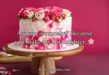 Best Cake Pick Up Lines And Rizz Best Cake Pick Up Lines And Rizz