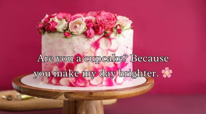 Best Cake Pick Up Lines And Rizz Best Cake Pick Up Lines And Rizz
