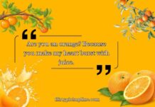 Best Orange Pickup Lines Best Orange Pickup Lines