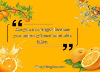 Best Orange Pickup Lines Best Orange Pickup Lines