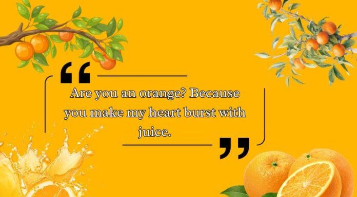 Best Orange Pickup Lines Best Orange Pickup Lines