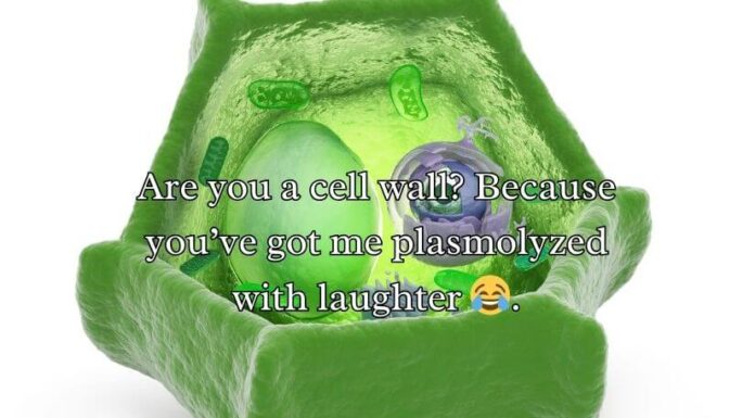 Cell Wall Pick Up Lines Cell Wall Pick Up Lines