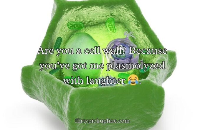 Cell Wall Pick Up Lines Cell Wall Pick Up Lines