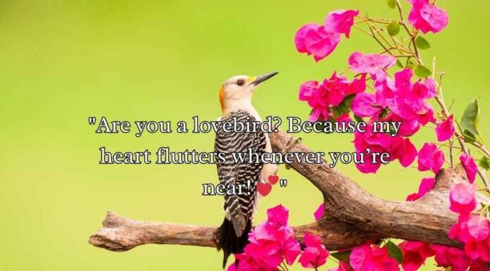 Bird Rizz Lines Bird Rizz Lines