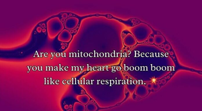 Mitochondria Pick Up Lines Mitochondria Pick Up Lines