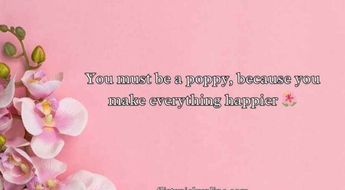 Flower Pick Up Lines Flower Pick Up Lines