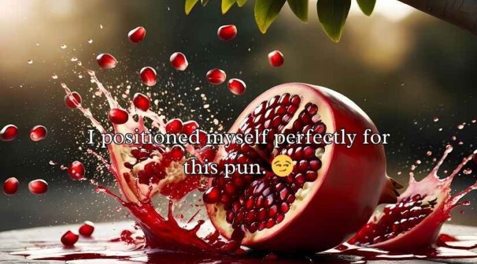 Juicy Pomegranate Puns Juicy Pomegranate Puns