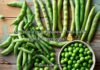 Pea Pickup Lines Pea Pickup Lines