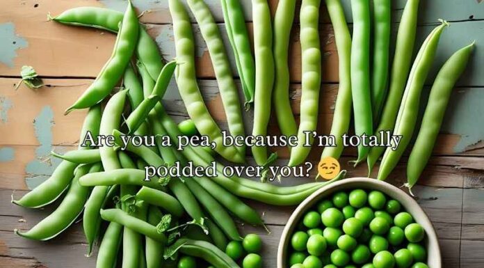 Pea Pickup Lines Pea Pickup Lines