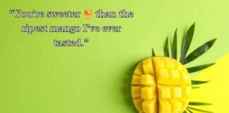 Mango Rizz Lines Mango Rizz Lines