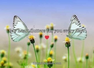 Butterfly Puns for Valentine’s Day Butterfly Puns for Valentine’s Day