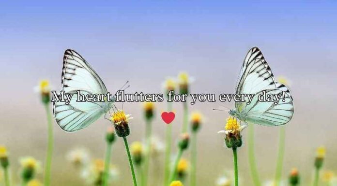 Butterfly Puns for Valentineās Day Butterfly Puns for Valentineās Day