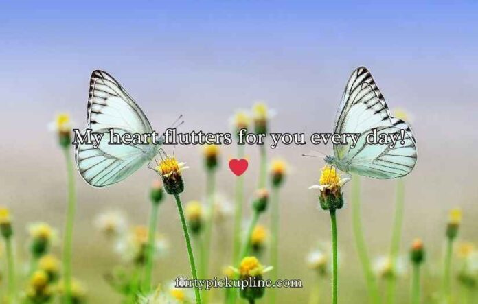 Butterfly Puns for Valentine’s Day