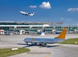 Airport Pick Up Lines Airport Pick Up Lines