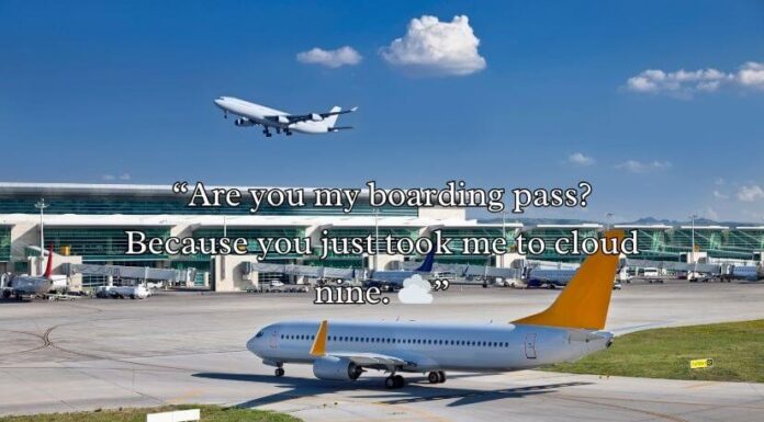 Airport Pick Up Lines Airport Pick Up Lines