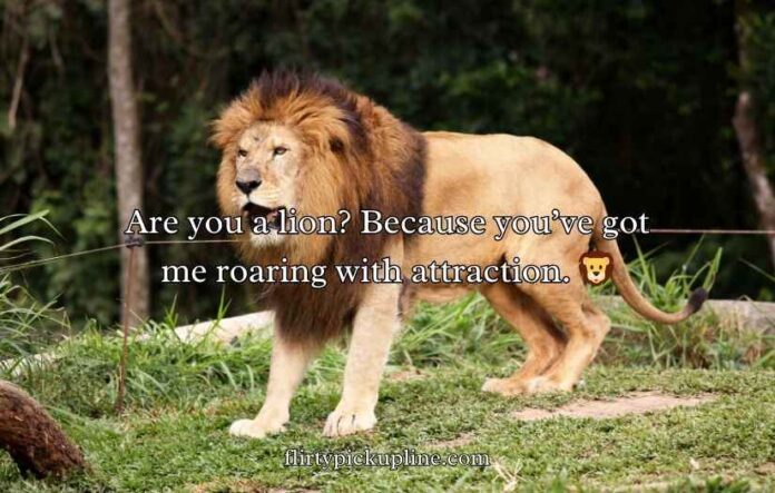 Animal Pick Up Lines Animal Pick Up Lines