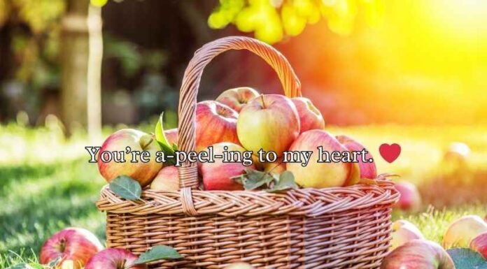 Apple Puns Apple Puns