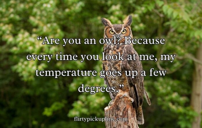 Best Owl Pick Up Lines