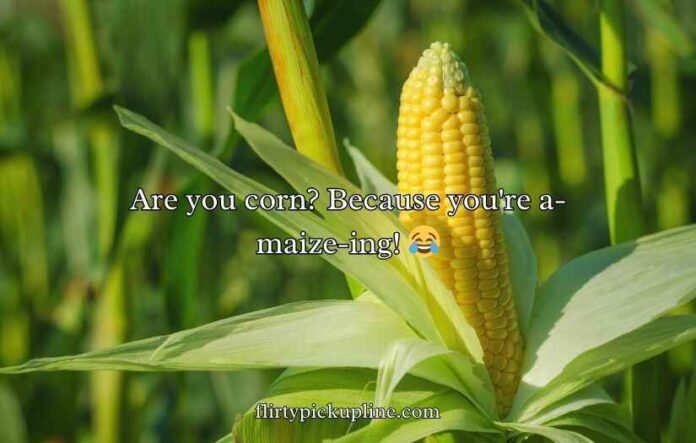 Corn Pick Up Lines