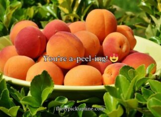 Funny Peach Puns Funny Peach Puns